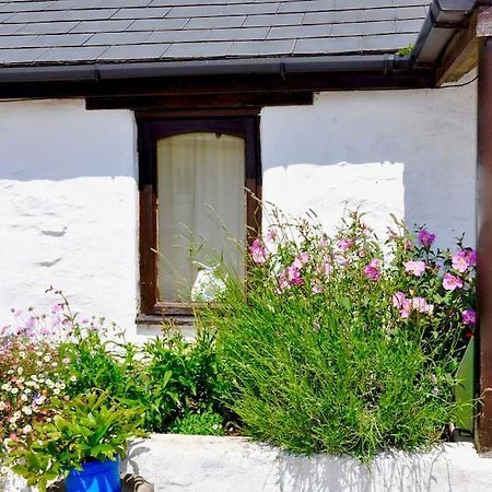Stunning Annexe 1 Luxury Bedroom, Eating Area & Bathroom Only! Truro Exteriör bild