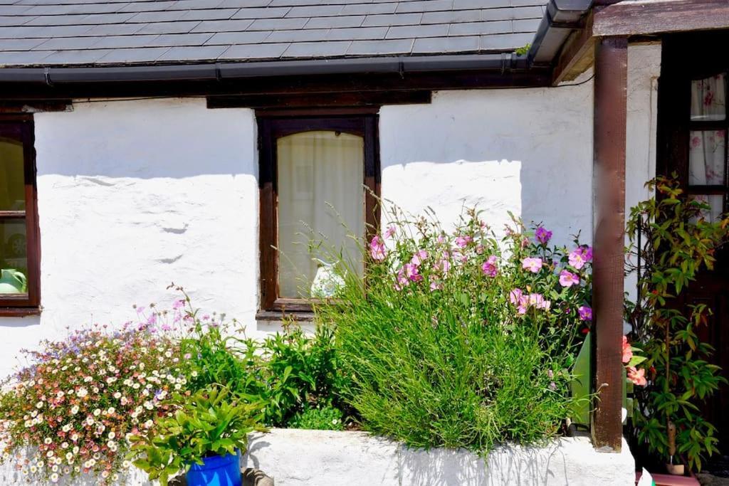 Stunning Annexe 1 Luxury Bedroom, Eating Area & Bathroom Only! Truro Exteriör bild