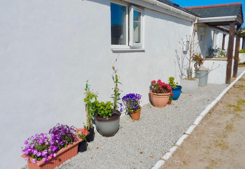 Stunning Annexe 1 Luxury Bedroom, Eating Area & Bathroom Only! Truro Exteriör bild